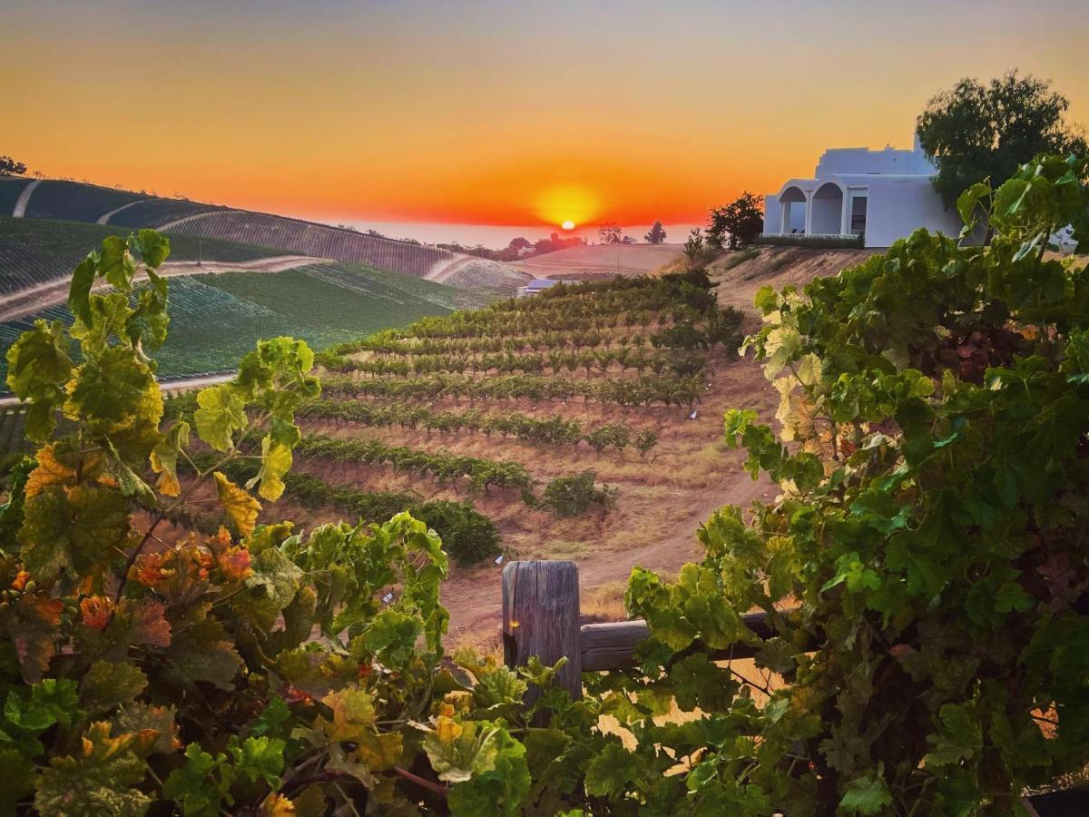 Sirena Vineyard Resort Paso Robles Dış mekan fotoğraf
